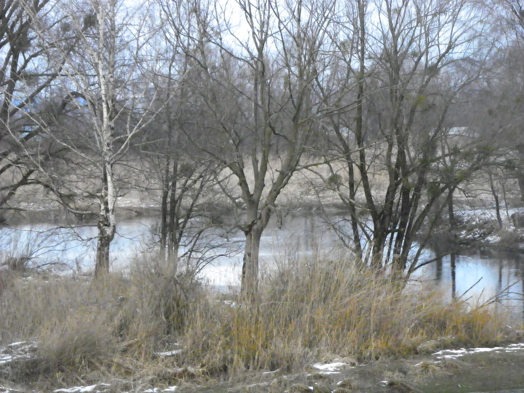 108_9038_jpg-1296238371