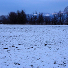 108_9062_jpg-1296238423