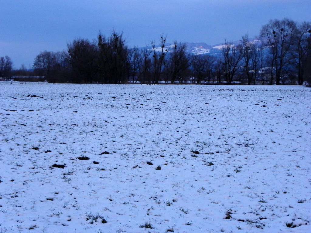 108_9062_jpg-1296238423