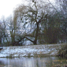 108_9063_jpg-1296238430