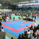 108_8748_jpg-1296240622