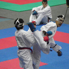 108_8752_jpg-1296240625