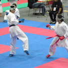 108_8759_jpg-1296240632
