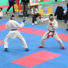 108_8786_jpg-1296240648