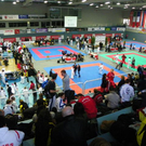 108_8796_jpg-1296240652