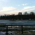 IMG_0106.jpg