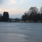 IMG_2181.jpg