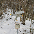 Altreute Kapelle Sperre Wanderweg 2011 _2__jpg-1296250060