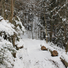 Altreute Kapelle Sperre Wanderweg 2011 _3__jpg-1296250086