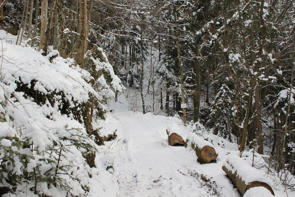 Altreute Kapelle Sperre Wanderweg 2011 _3__jpg-1296250086