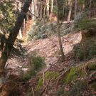 Hangrutschung Symbolbilder _8__JPG-1296250271