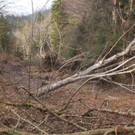 Hangrutschung Symbolbilder _9__JPG-1296250273