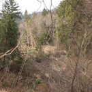 Hangrutschung Symbolbilder _10__JPG-1296250276