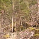 Hangrutschung Symbolbilder _15__JPG-1296250287