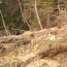 Hangrutschung Symbolbilder _16__JPG-1296250290