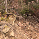 Hangrutschung Symbolbilder _17__JPG-1296250292