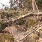 Hangrutschung Symbolbilder _19__JPG-1296250298