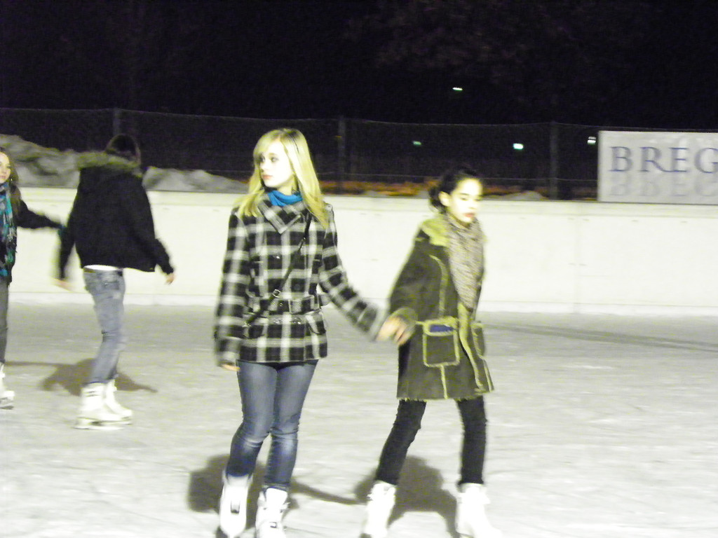 100_1195_jpg-1296259631