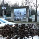 108_8476_jpg-1296261042