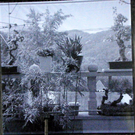 108_8479_jpg-1296261052