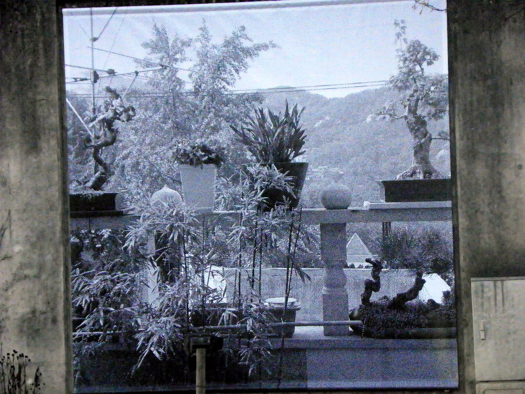 108_8479_jpg-1296261052