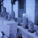 108_8480_jpg-1296261060