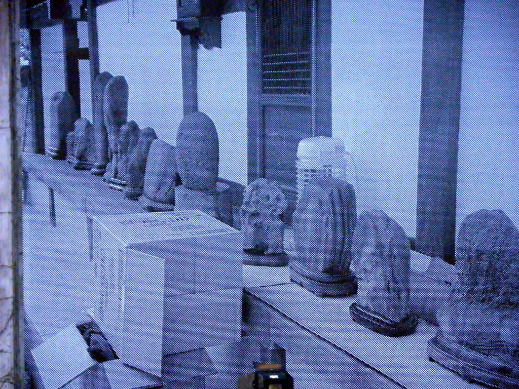 108_8480_jpg-1296261060