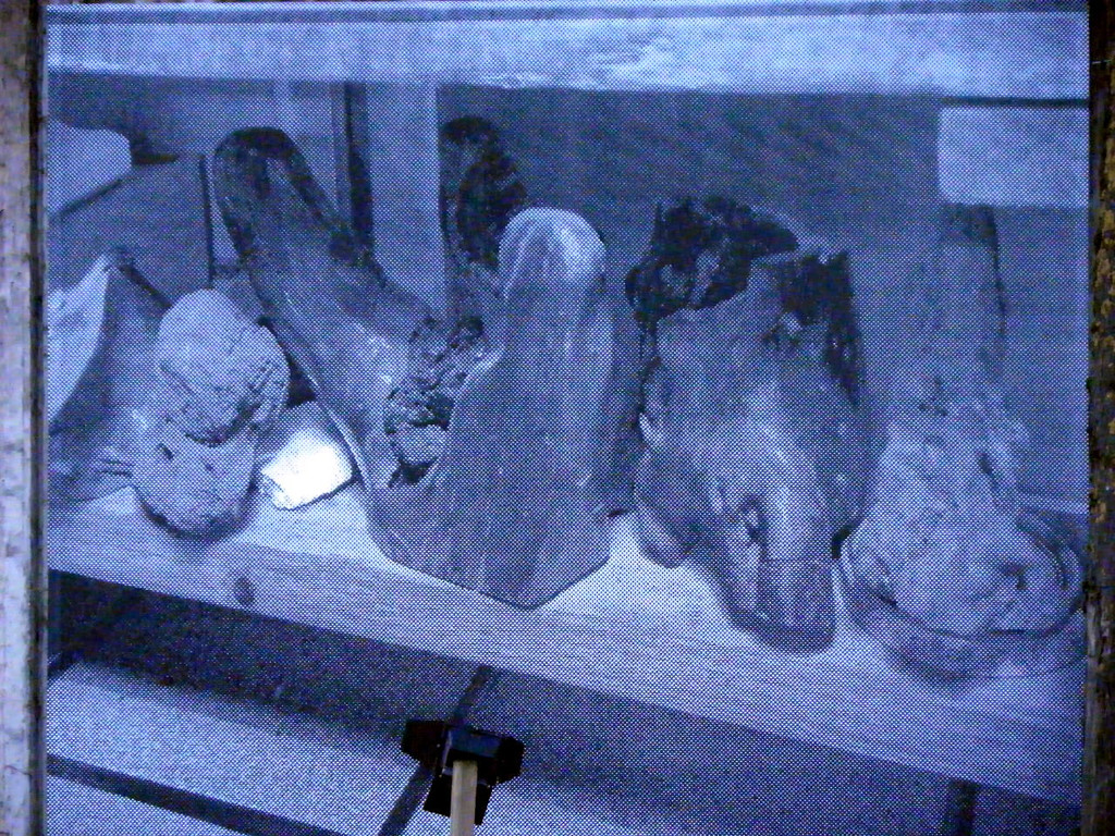 108_8483_jpg-1296261067