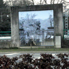 108_8478_jpg-1296261045