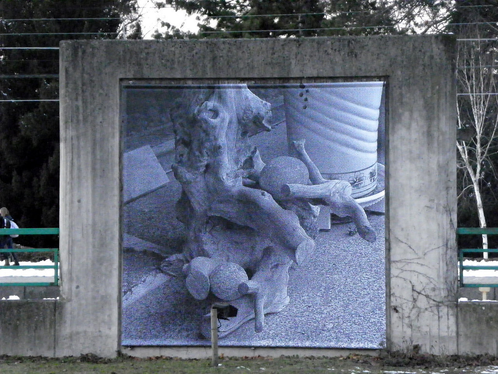 108_8474_jpg-1296261101