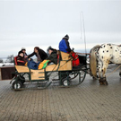 DSC_0026_JPG-1296266568