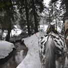 DSC_0055_JPG-1296266571