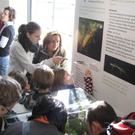 IMG_5801 _Large__JPG-1296304919