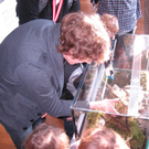 IMG_5809 _Large__JPG-1296304930
