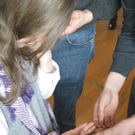 IMG_5817 _Large__JPG-1296304941