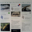 IMG_5836 _Large__JPG-1296304971