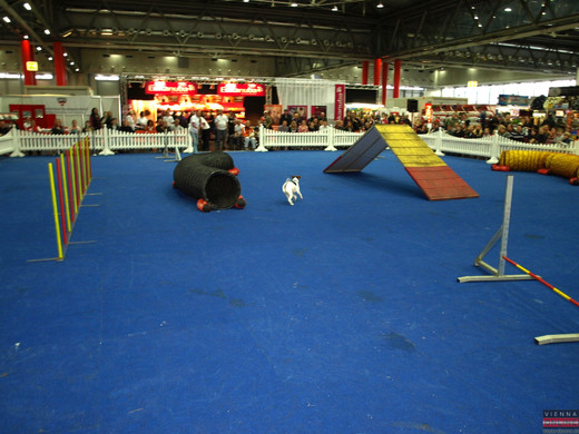 PB284710.JPG