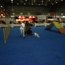 PB284713.JPG