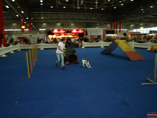 PB284713.JPG