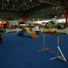 PB284718.JPG
