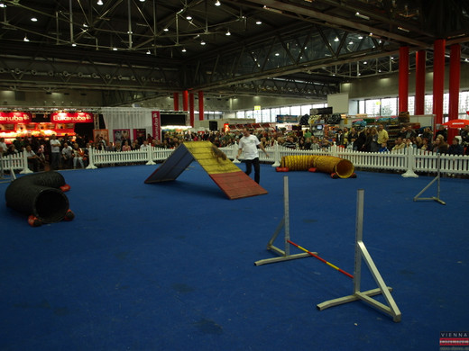 PB284718.JPG