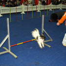 PB284740.JPG