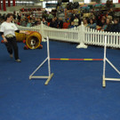 PB284744.JPG