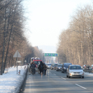 29012011pferdeffaktivnews_17.jpg