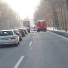 29012011pferdeffaktivnews_14.jpg