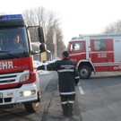 29012011pferdeffaktivnews_11.jpg