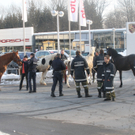 29012011pferdeffaktivnews_01.jpg