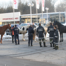 29012011pferdeffaktivnews_03.jpg