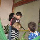 Lukas Geburtstag 006_JPG-1296326065.jpg