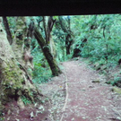 108_9777_jpg-1296344980